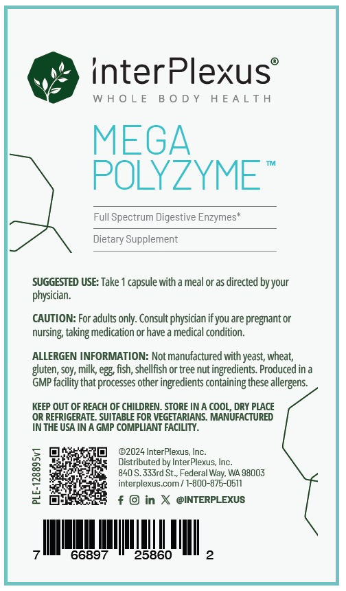 Mega-Polyzyme